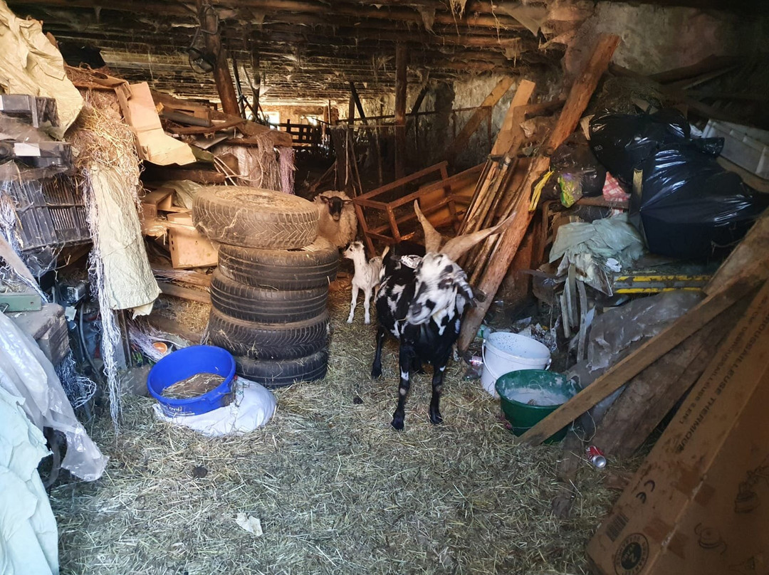 Lautenbachzell餐馆和美食-Ferme Auberge du Gustiberg