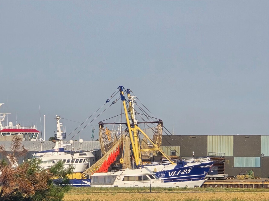 Hotel de Timmerfabriek I Kloeg Collection主图