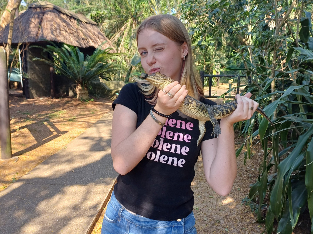 Crocodile Centre St Lucia-圣露西亚必去景点