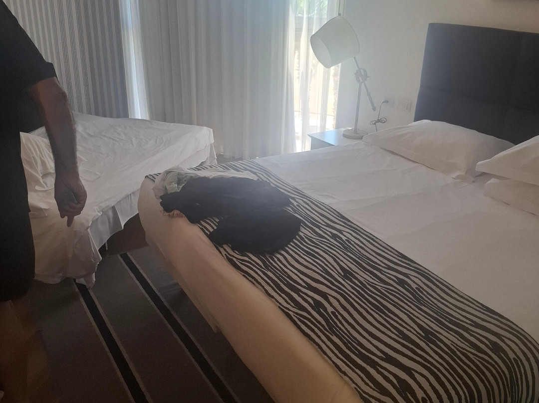 丹尼尔荷兹利亚酒店主图