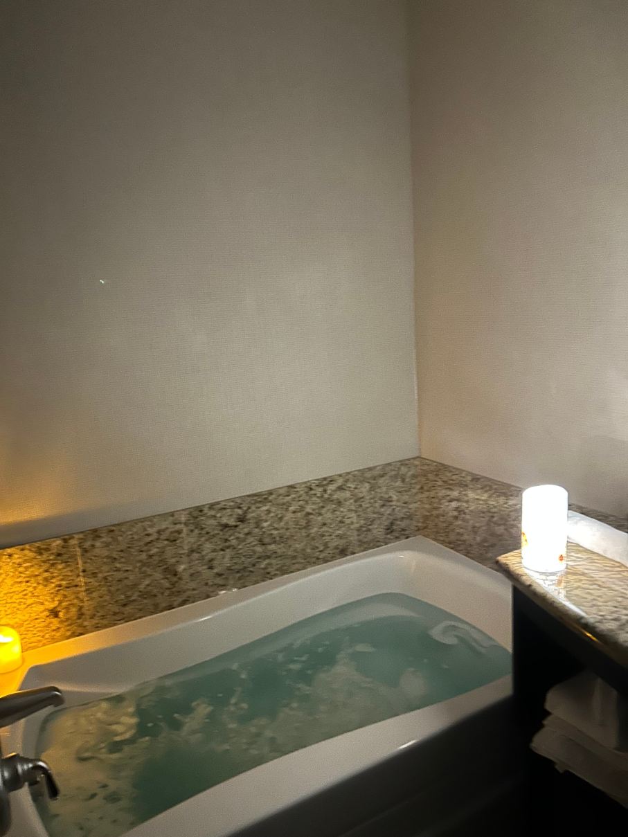 博伊西牛津套房酒店-旅行者