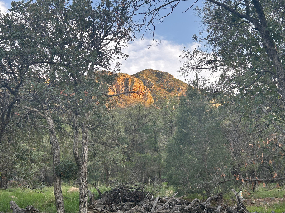 Ramsey Canyon Cabins & Bird Sanctuary主图