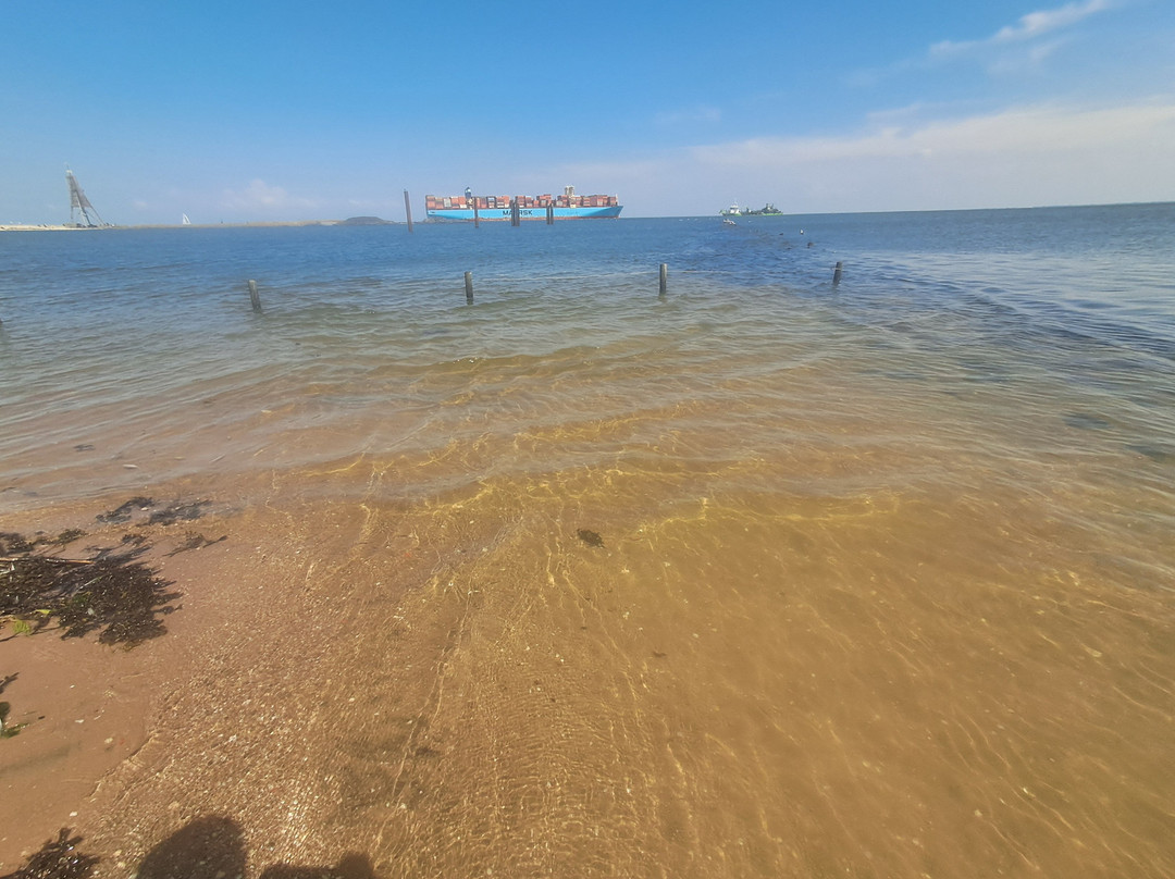 Strand Grimmershörn-库克斯港县必去景点