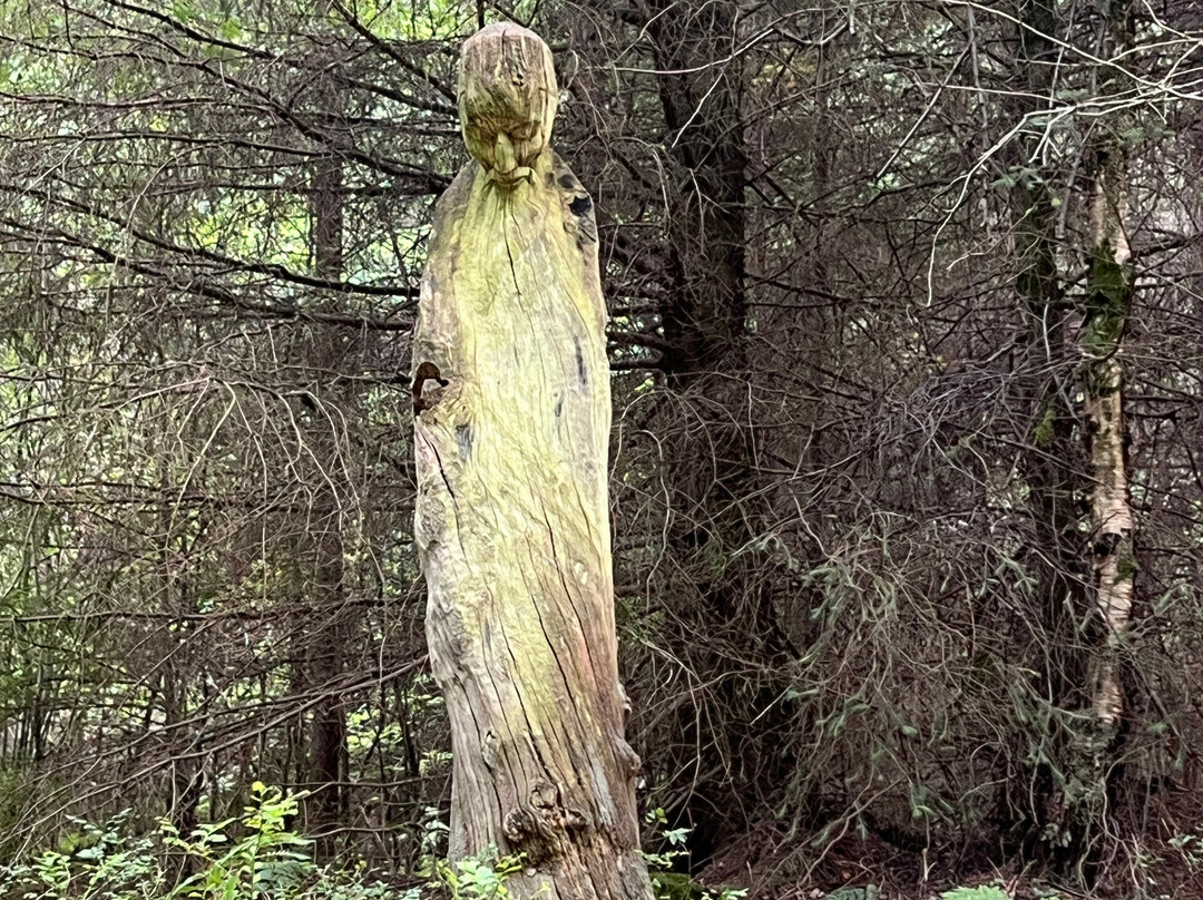 Dalby Forest-皮克灵必去景点
