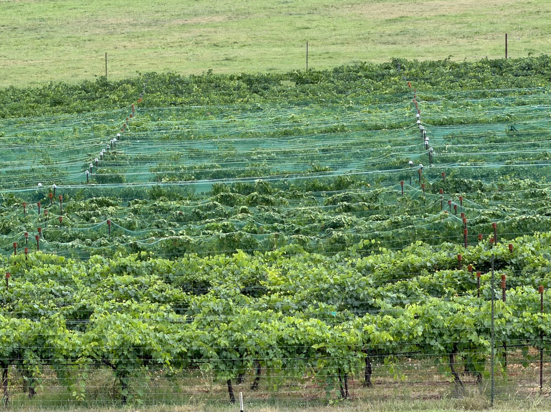 Fox Fire Farms Winery-Ignacio必去景点