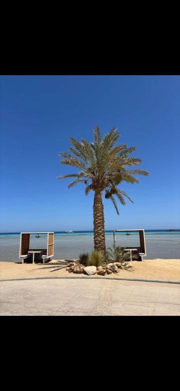 索马湾破浪者潜水与冲浪酒店-旅行者