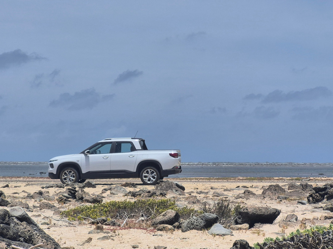 Pickup Huren Bonaire-Belnem必去景点