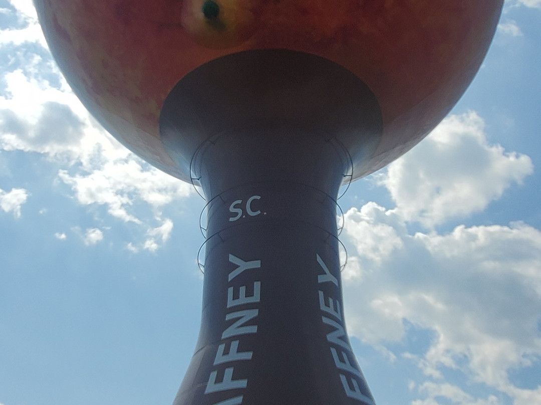 The Peachoid-Gaffney必去景点
