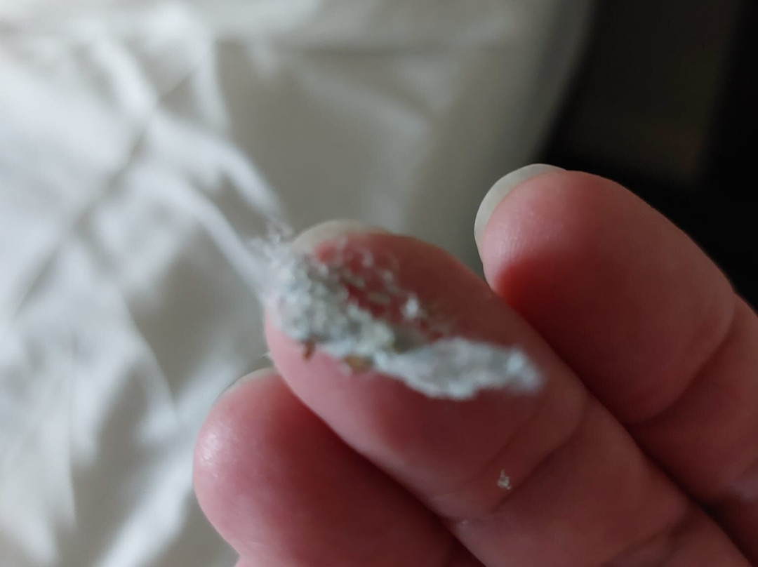 牛津伯特利普瑞米尔酒店主图