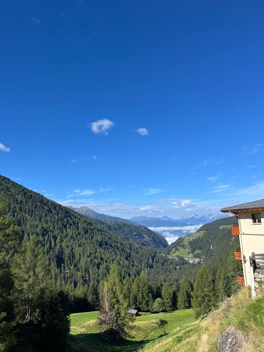 Berghotel & Gasthof Marlstein-旅行者