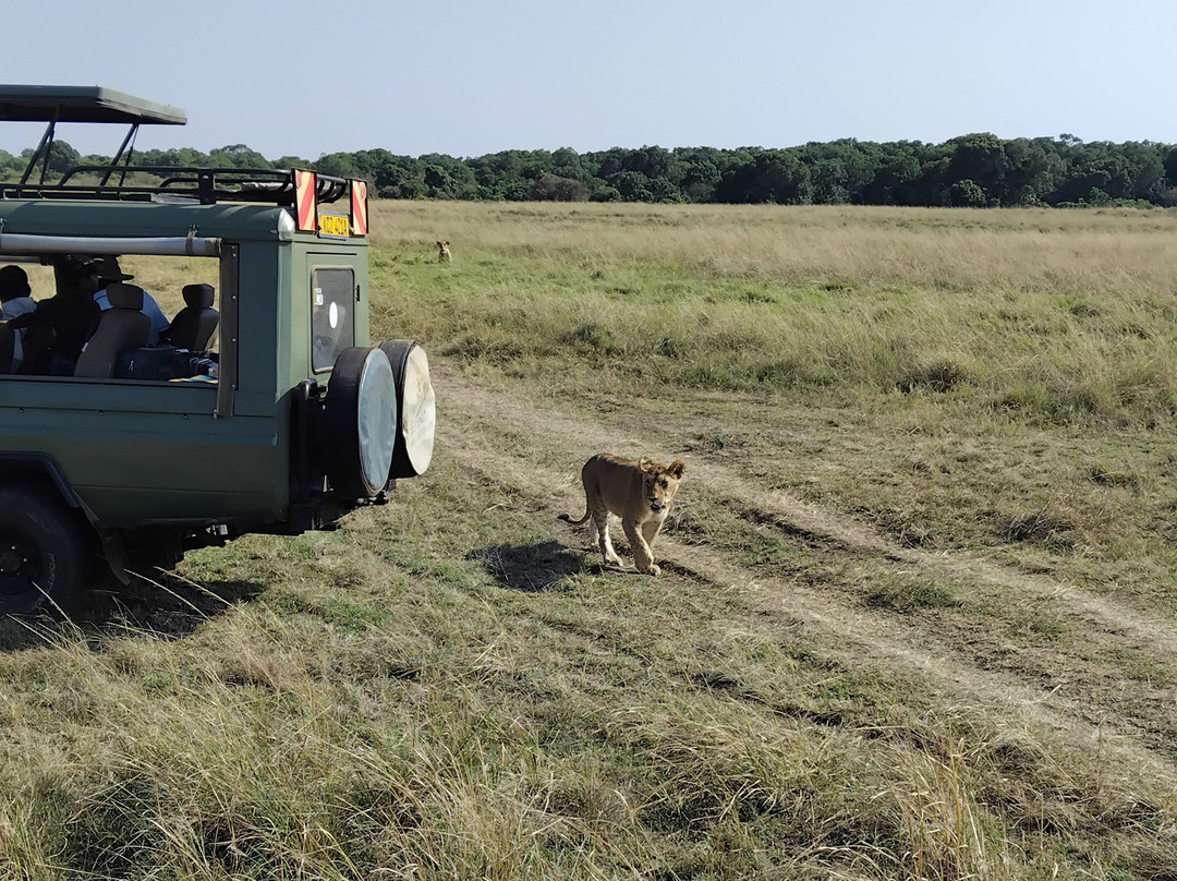 Maasai Mara National Reserve-纳罗克必去景点