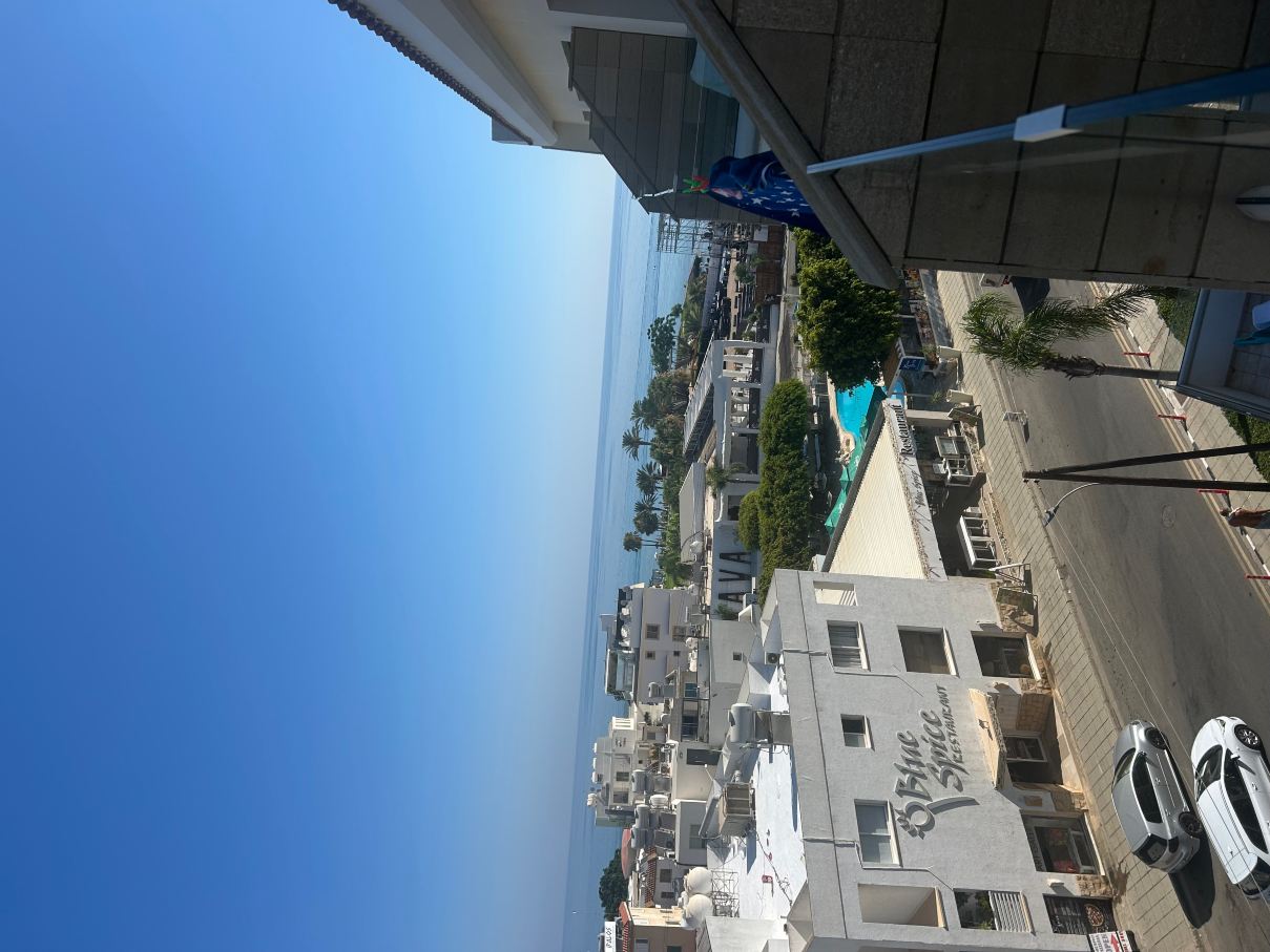 阿纳斯塔西娅海滩酒店-旅行者