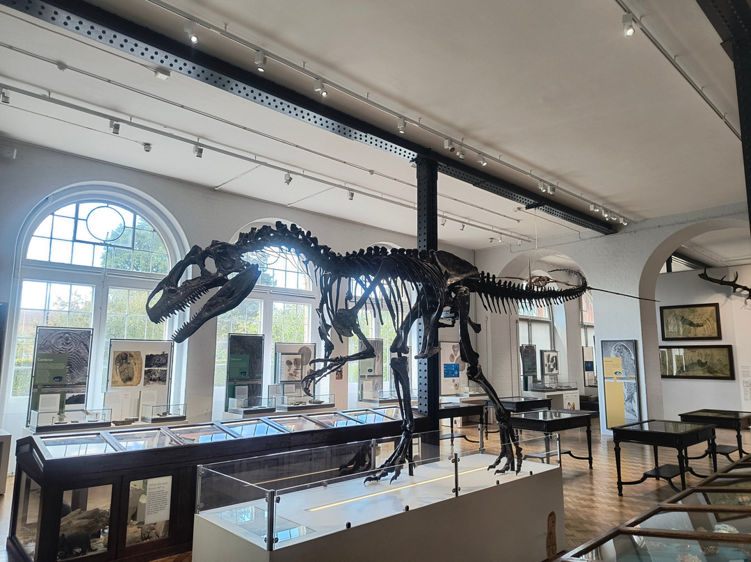 Lapworth Museum of Geology-伯明翰必去景点
