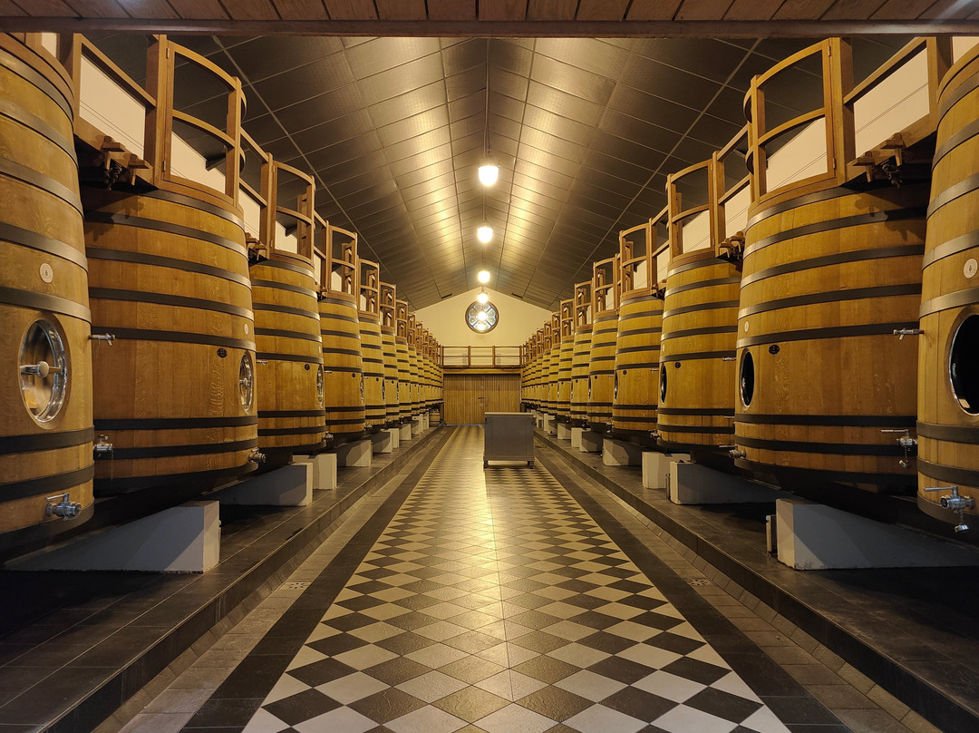 Château Pape Clément-Pessac必去景点