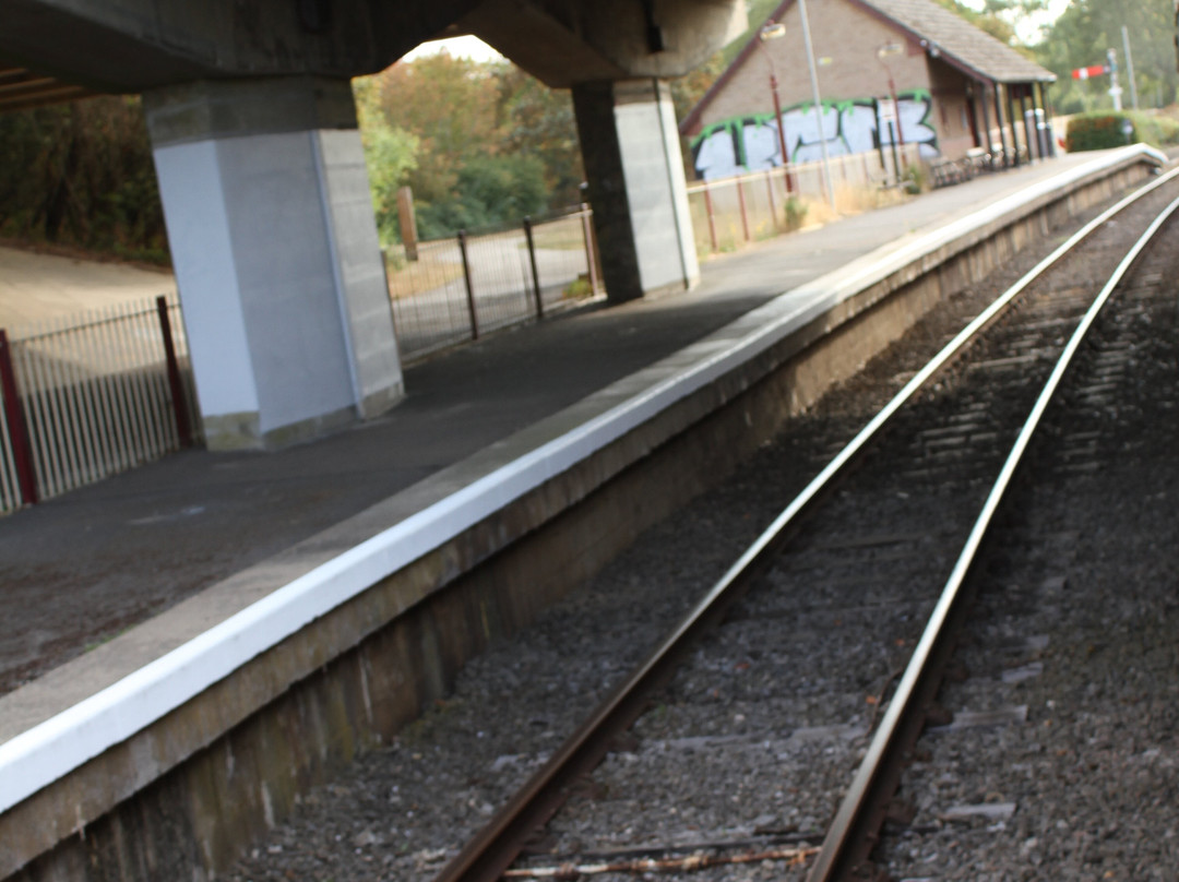 Nene Valley Railway-彼得伯勒必去景点