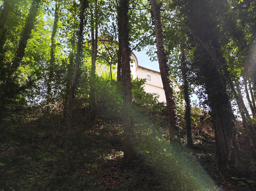 Schloss Zeil-Leutkirch im Allgau必去景点