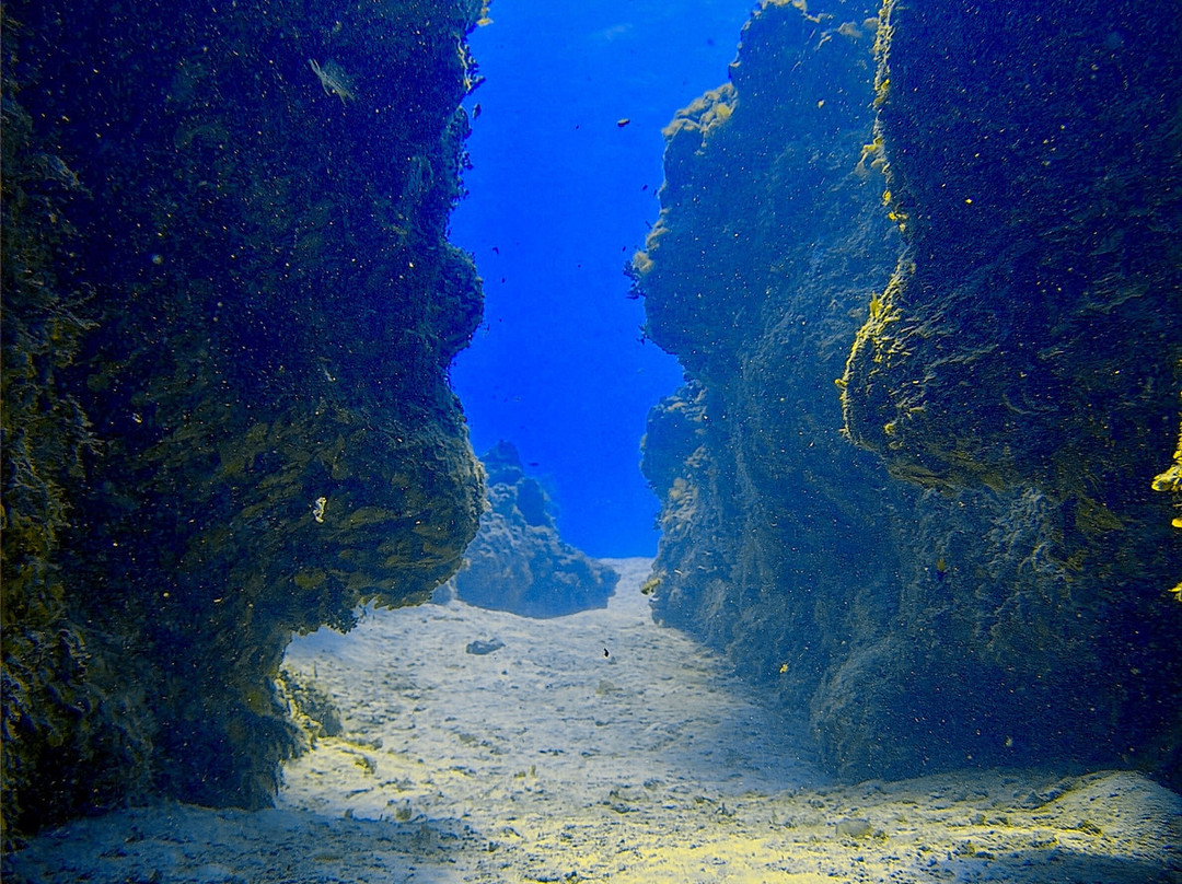 Only Blue Diving Dreams-Cockburn Town必去景点
