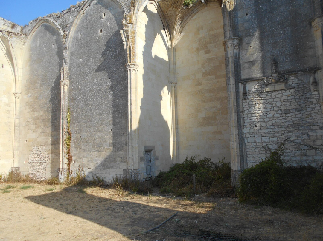 Ruines du Château Et De La Collégiale des Roches-Tranchelion-Avon-les-Roches必去景点