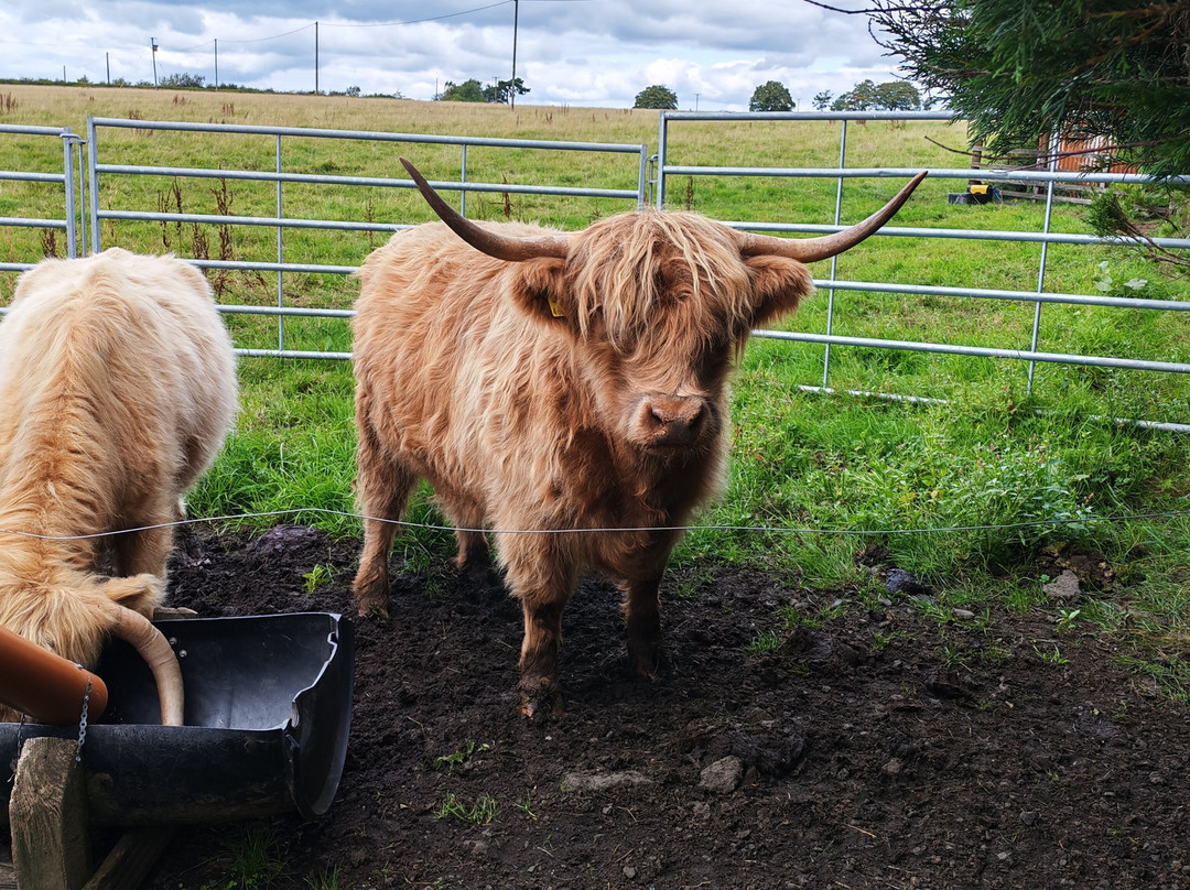 Craigbank Farm-Kilmarnock必去景点