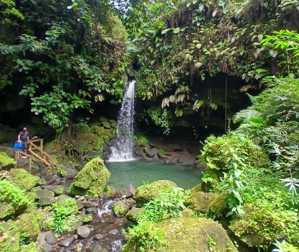 Trafalgar Falls-Morne Trois Pitons National Park必去景点