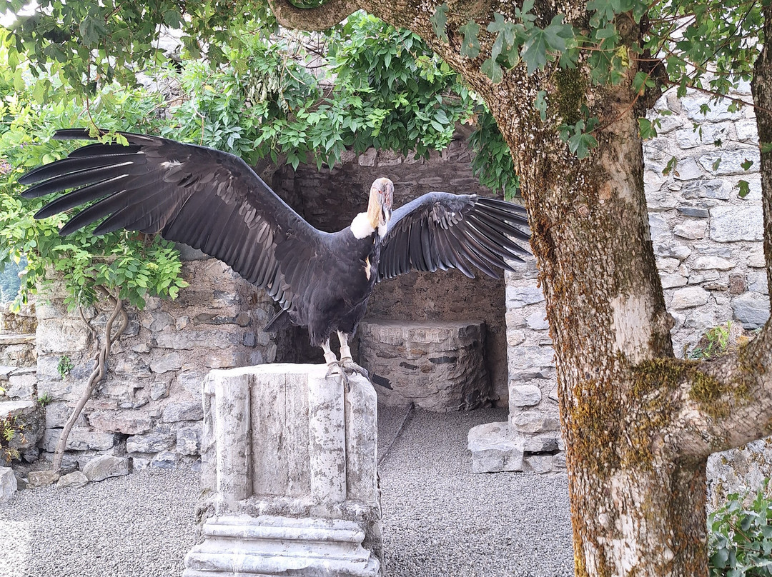 Dungeon of Eagles-Beaucens必去景点