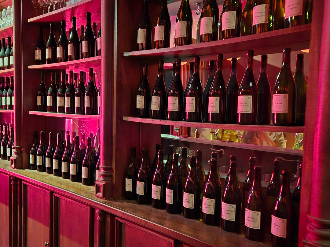 WiMu - Museo del Vino a Barolo-巴罗洛必去景点