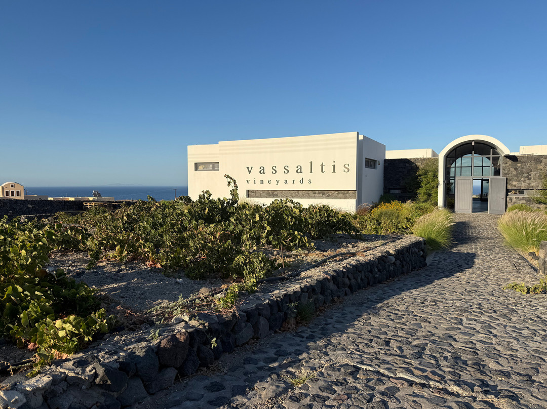Vassaltis Vineyards-Vourvoulos必去景点