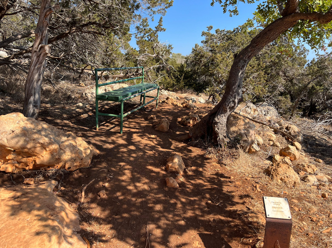Aphrodite Trail-Latchi必去景点