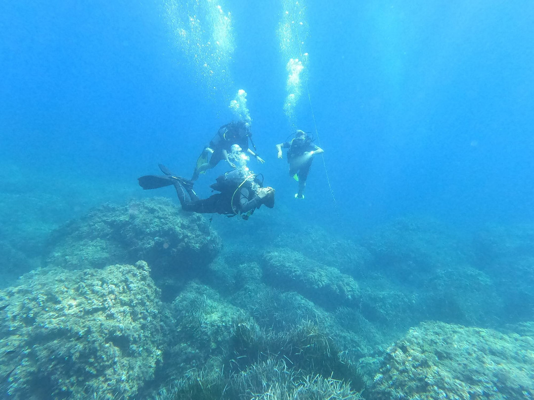 Cala Pada Diving Center Ibiza-圣欧拉利娅尔德里奥必去景点