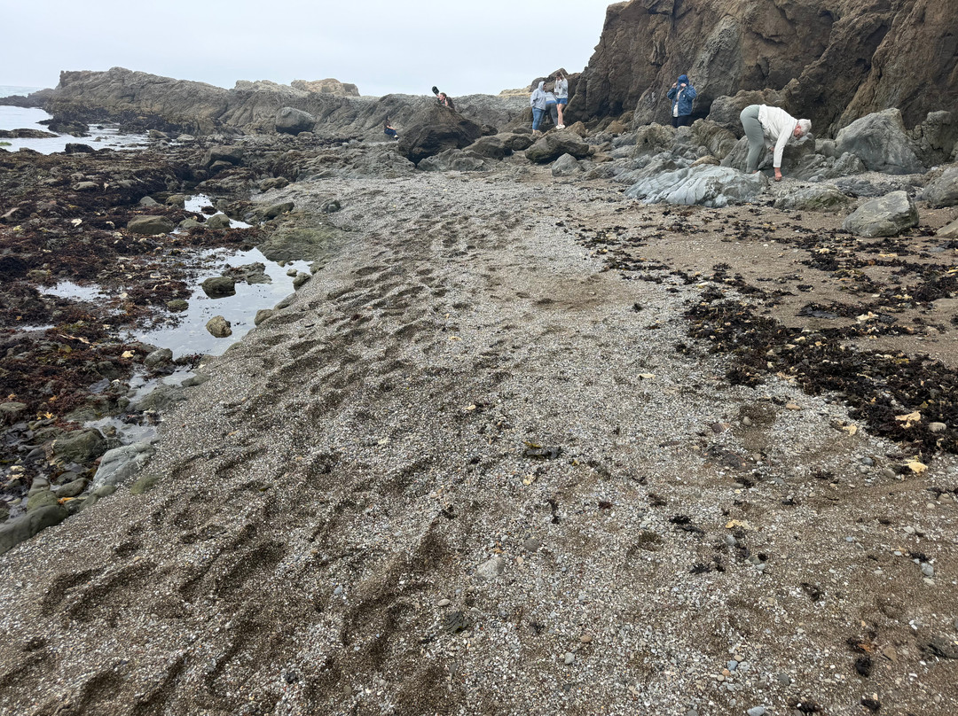 Glass Beach-布拉格堡必去景点