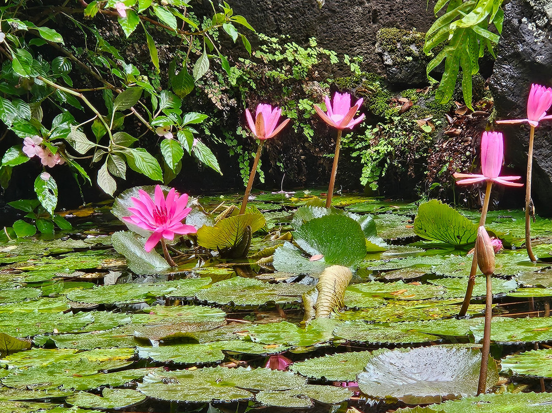 阿勒顿花园-坡伊普必去景点