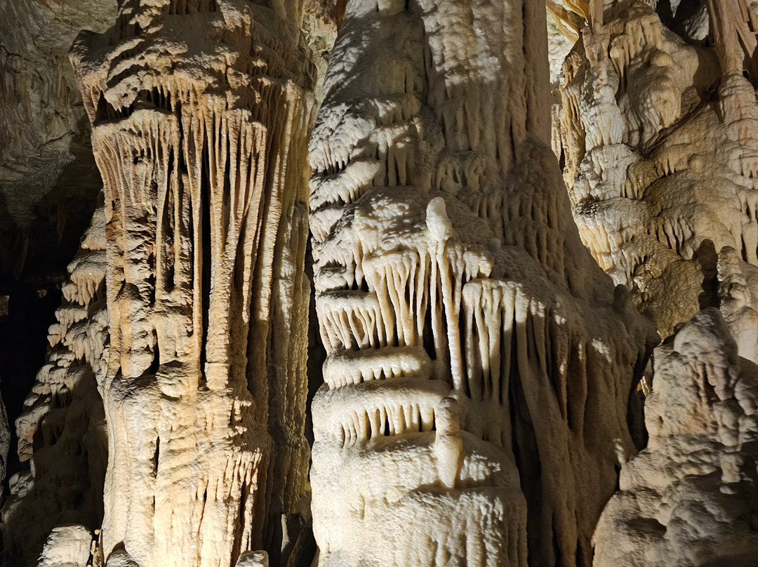 Postojna Cave-波斯托伊纳必去景点