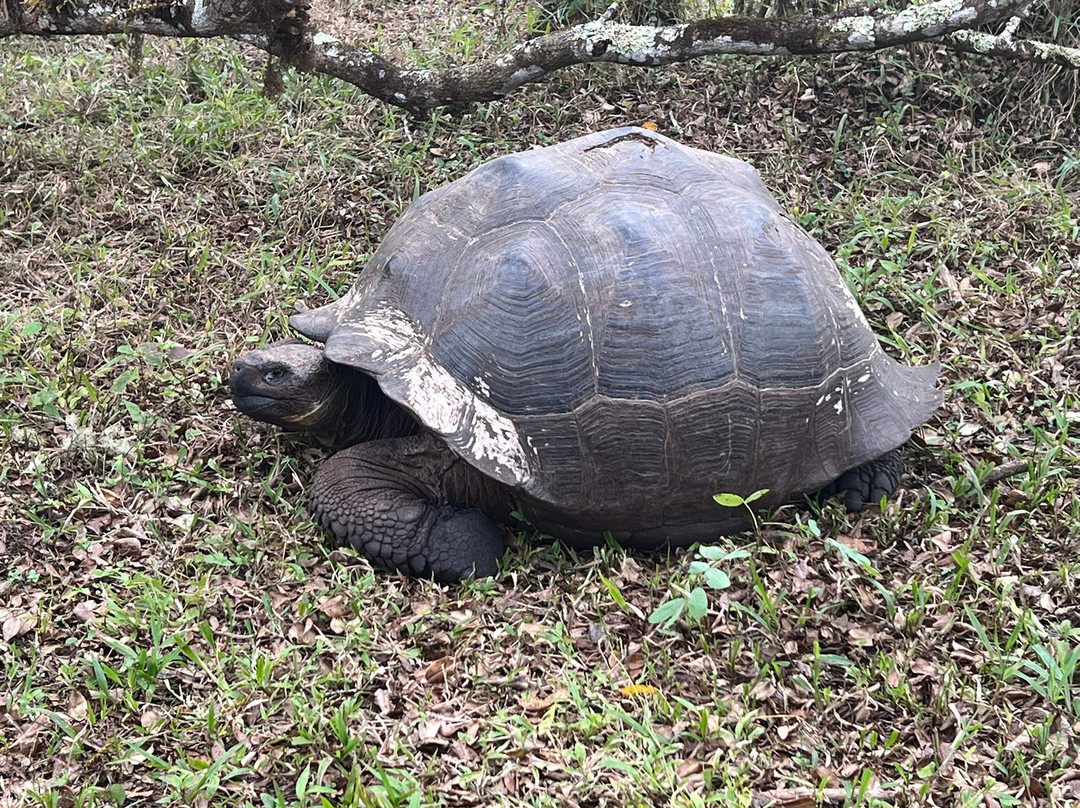 Reserva Galápagos Frontier-圣克鲁斯必去景点
