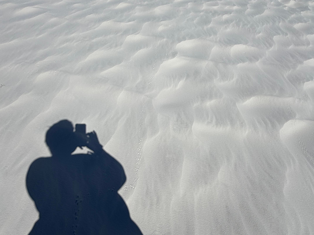 White Sands National Park-阿拉莫戈多必去景点
