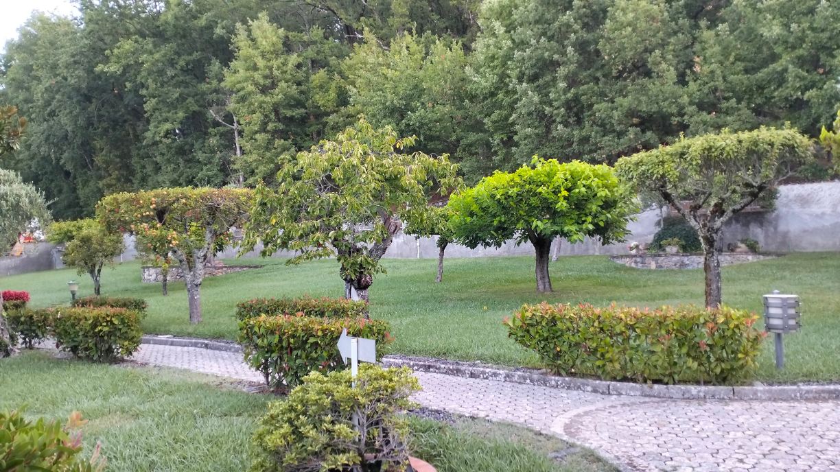 Hotel Il Boschetto-旅行者