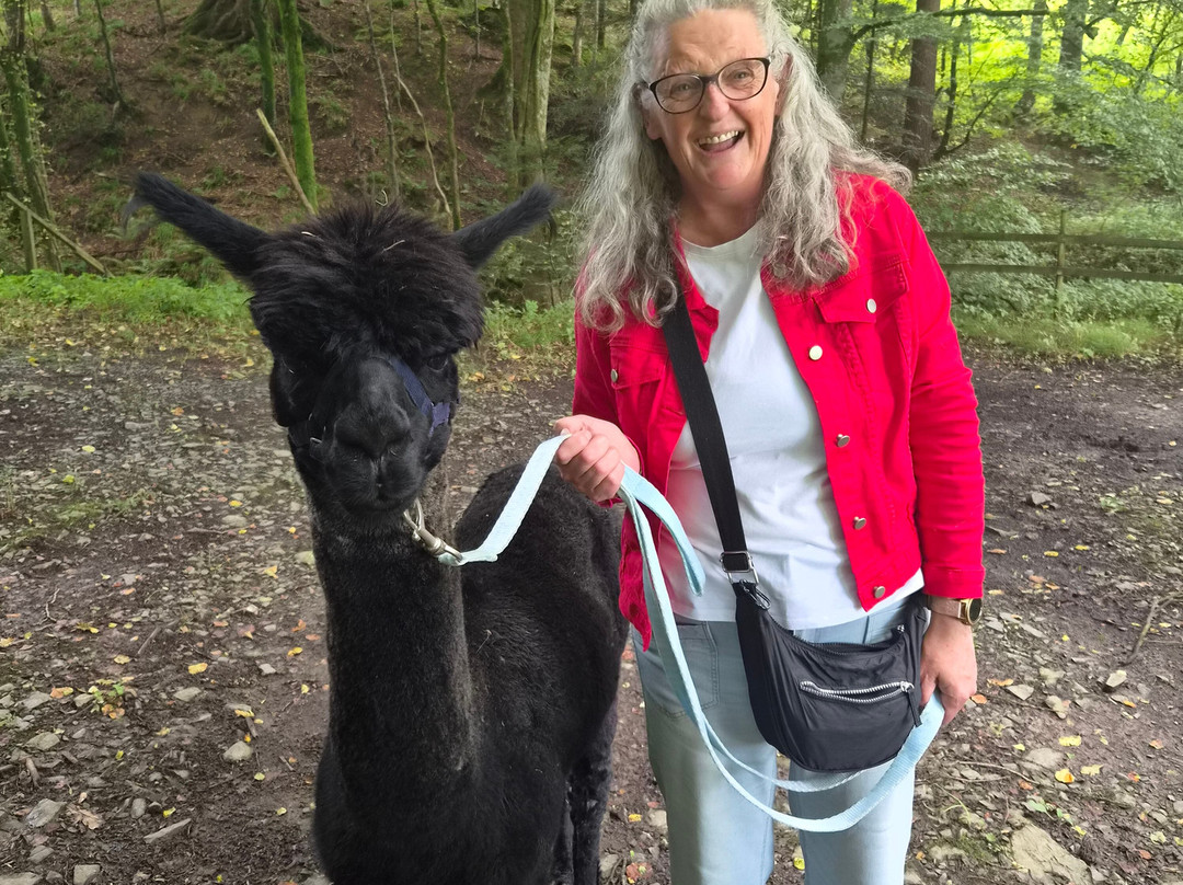 Hebbs Alpacas