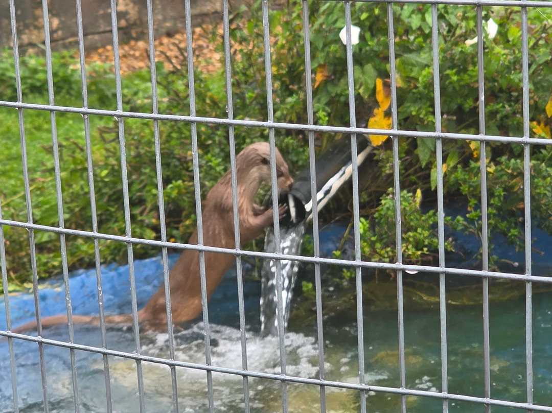 Exotic Pet Refuge-彼得伯勒必去景点