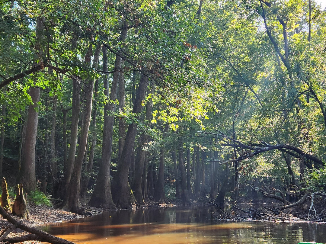 Carolina Outdoor Adventures-厄莫必去景点