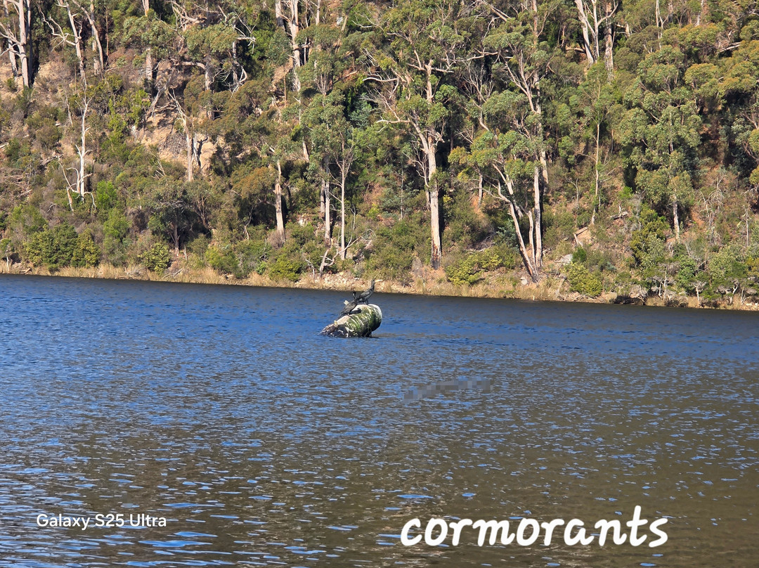 Leven River Cruises-Ulverstone必去景点