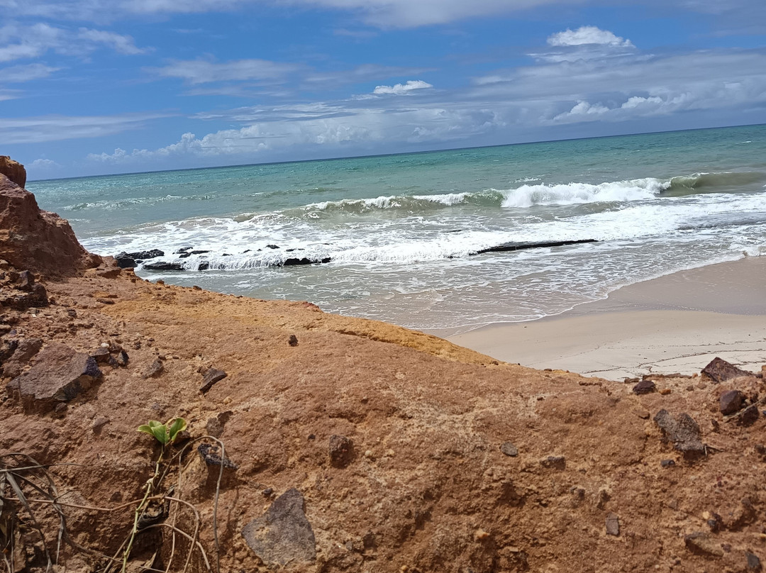 Aventura Eco Brasil-Barra de Sao Miguel必去景点