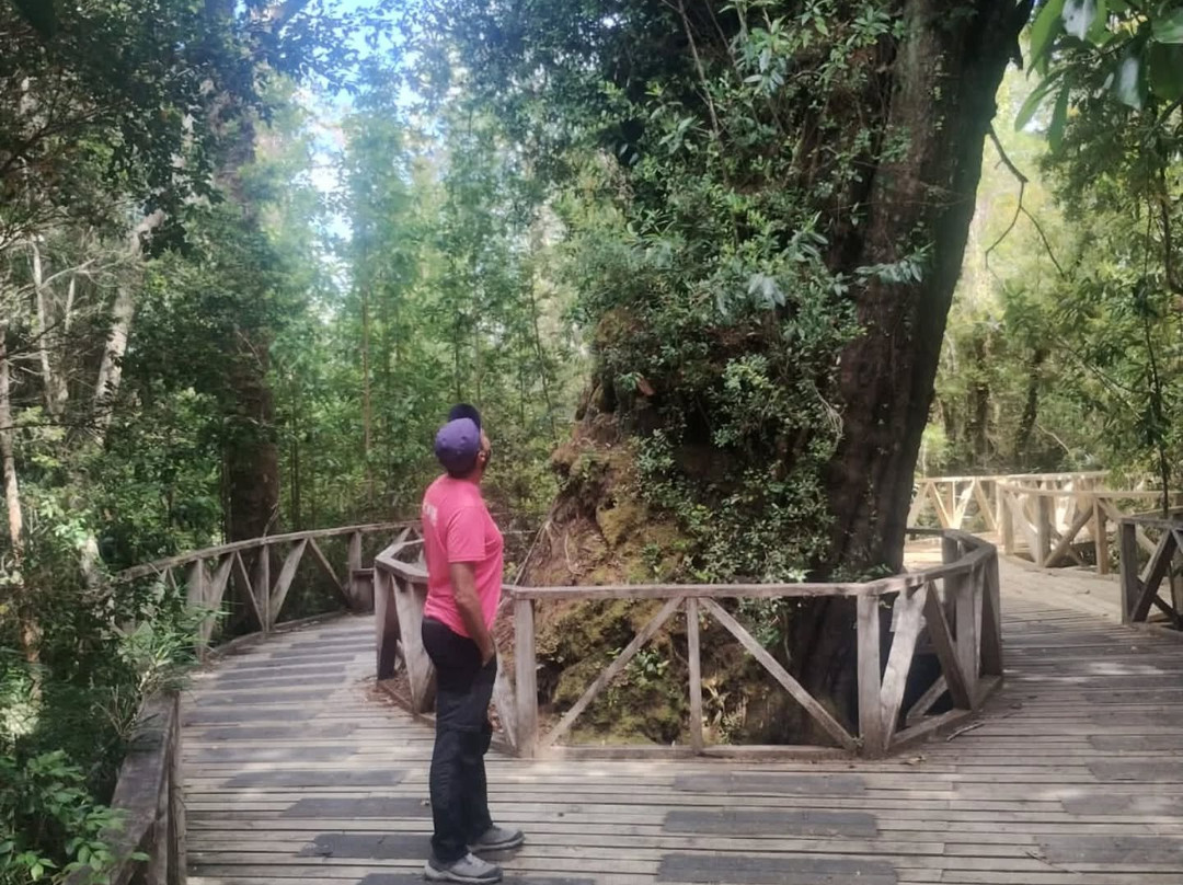 Kawel Ecoturismo-Quellon必去景点