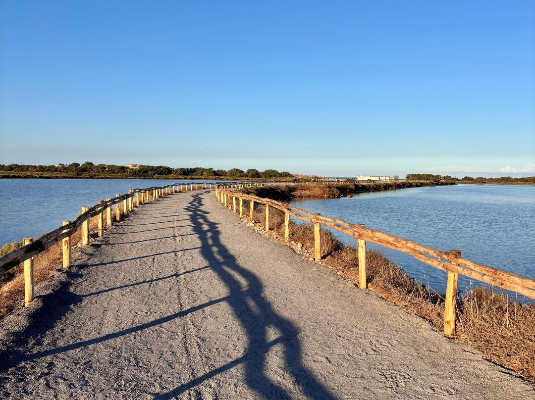 Spiaggia Is Arenas Biancas-Teulada必去景点
