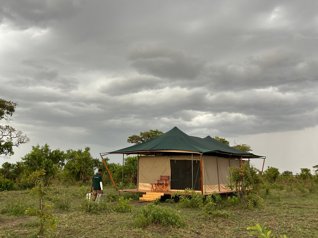 Friends Camps and Lodge-Seronera必去景点