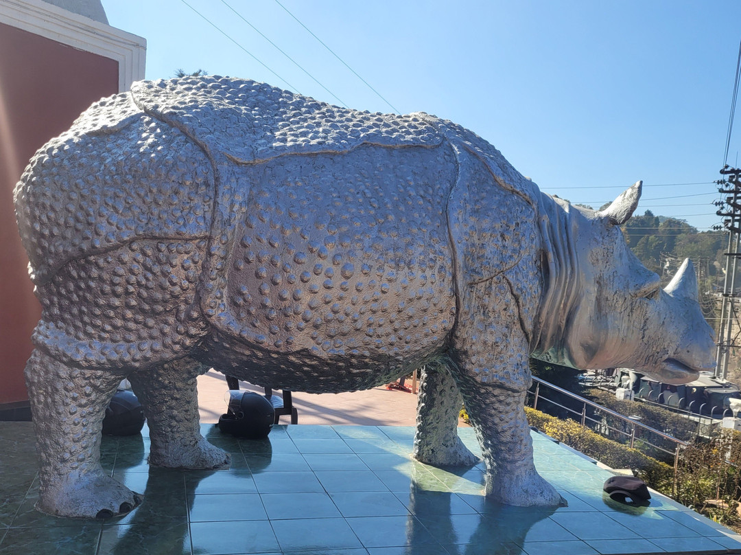 Rhino Heritage Museum