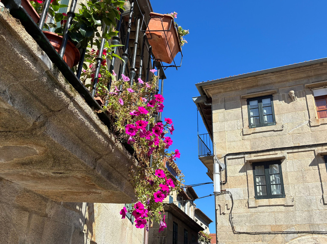 Casco antiguo de Pontevedra-邦特韦德拉必去景点