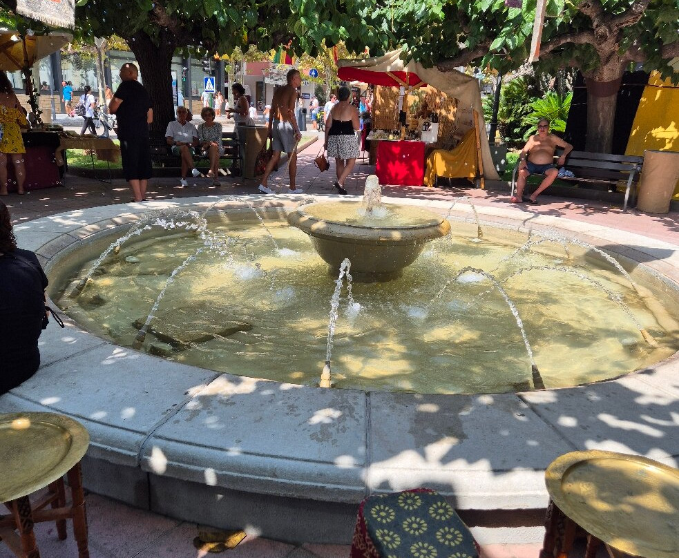 Mercat Medieval ( Medieval Market  )-萨洛必去景点