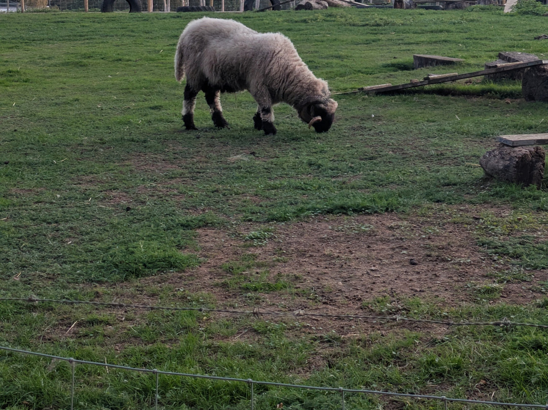 Godstone Farm & Play Barn-Godstone必去景点