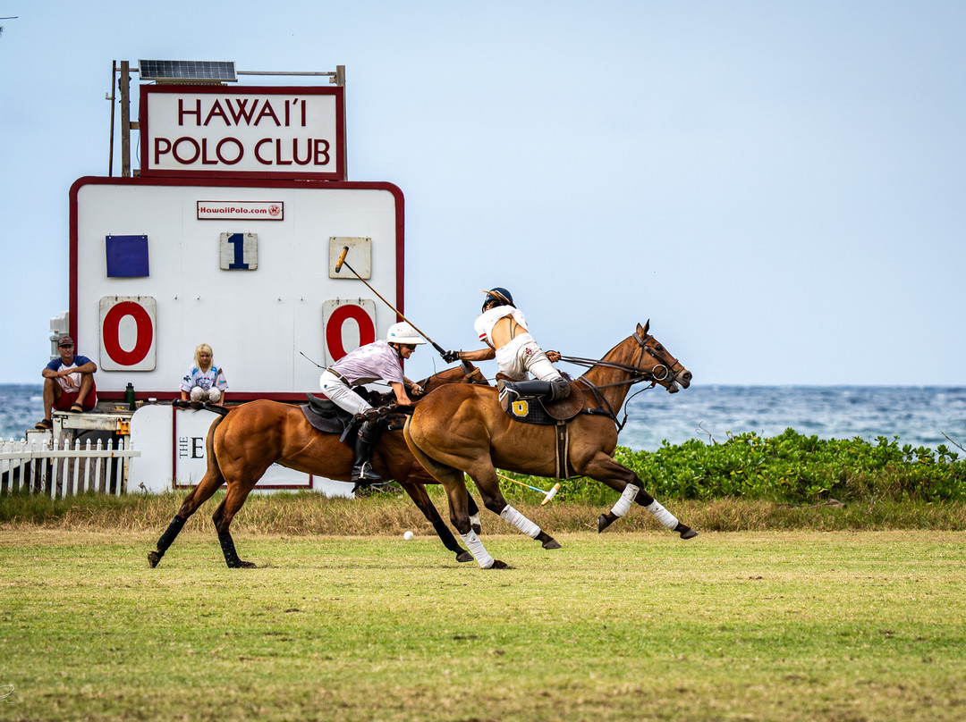 Hawaii Polo Club-瓦亚禄必去景点