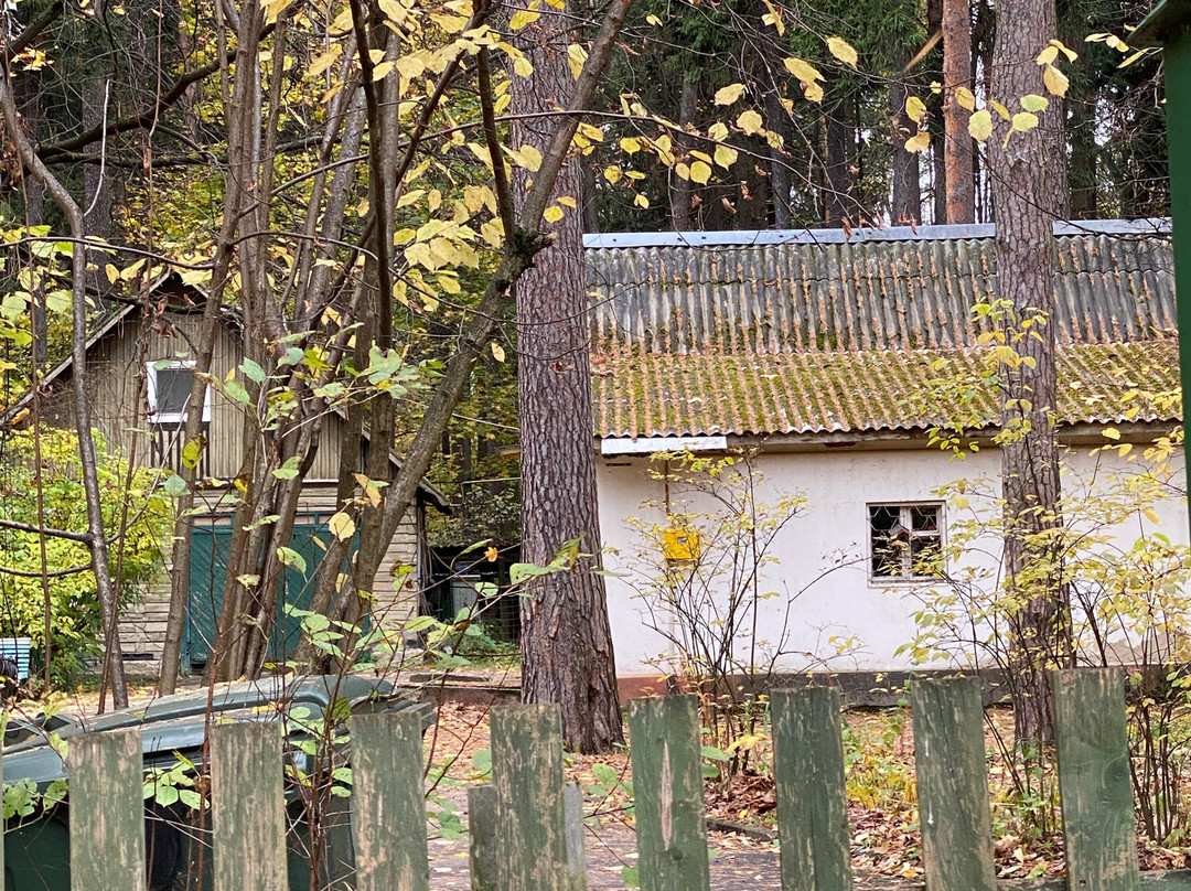 K. Chukovskiy's House Museum-Peredelkino必去景点