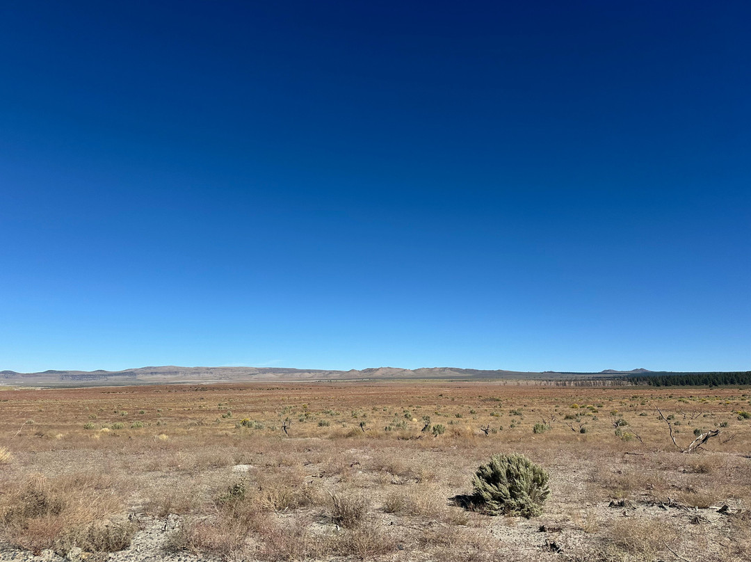 Mono Lake Tufa State Natural Reserve-利韦宁必去景点